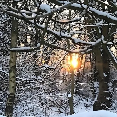 Luetje Nuest Mit Terrasse Rechtsupweg