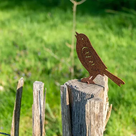 Luetje Nuest Mit Terrasse Nyaraló *